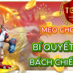 Mẹo Chơi Đá Gà TGV88: Bí Quyết Từ Cao Thủ Giúp Bạn "Bách Chiến Bách Thắng"