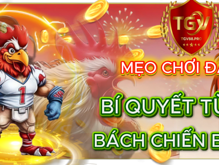 Mẹo Chơi Đá Gà TGV88: Bí Quyết Từ Cao Thủ Giúp Bạn “Bách Chiến Bách Thắng”
