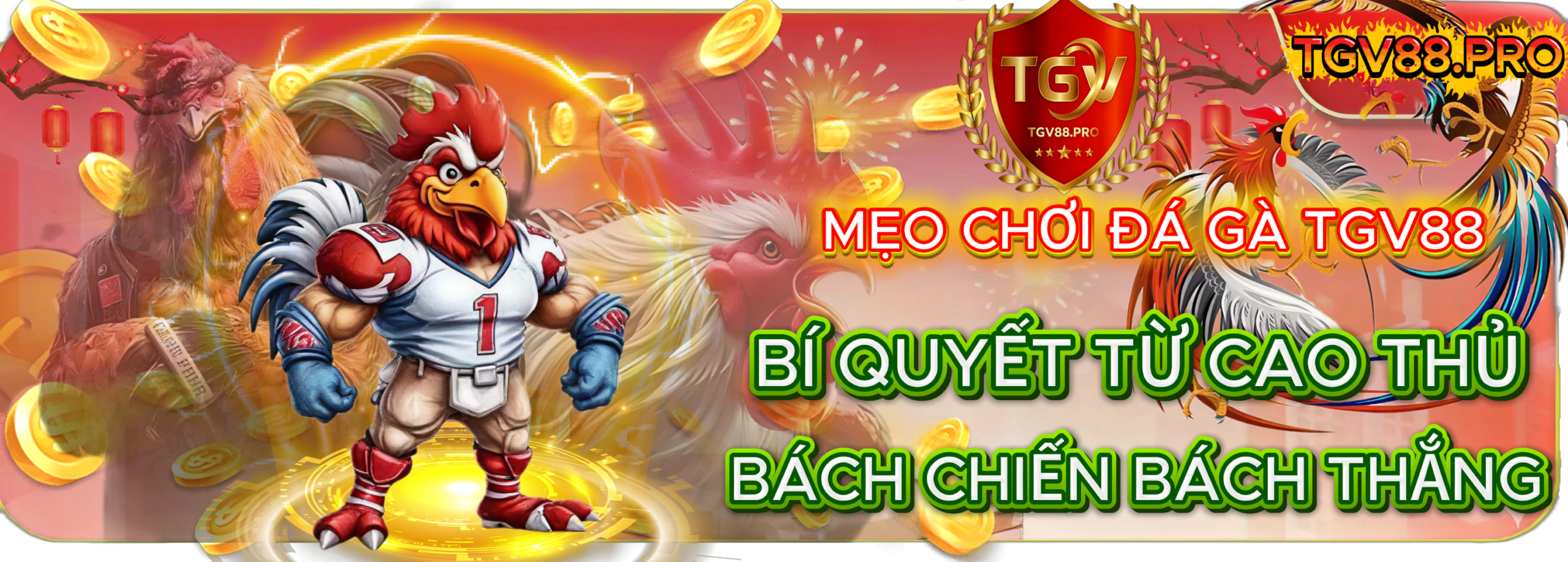 Mẹo Chơi Đá Gà TGV88: Bí Quyết Từ Cao Thủ Giúp Bạn “Bách Chiến Bách Thắng”